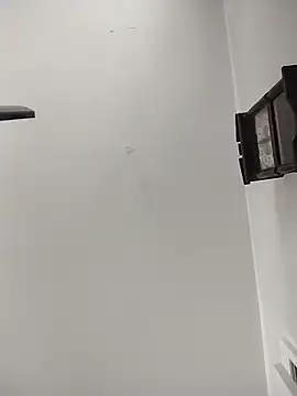 AceticPinscher webcam