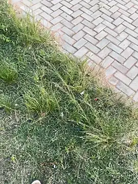 Black-mamba-madingo webcam