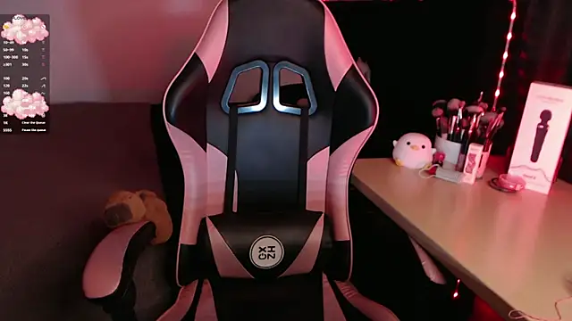 Theprojectsaraa webcam