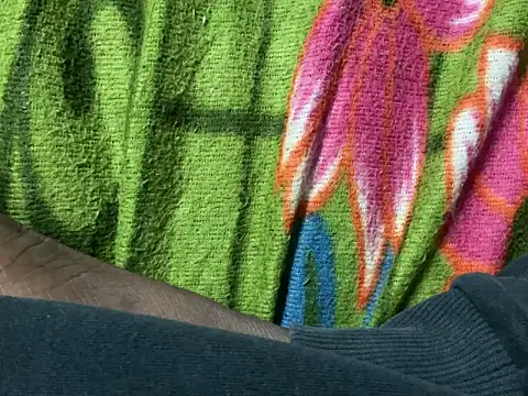 delhi_real_bull webcam