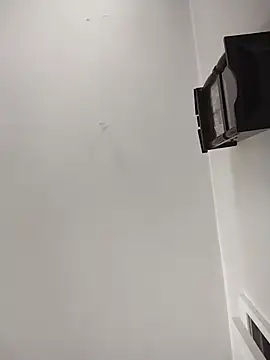 AceticPinscher webcam