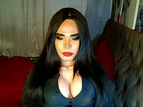 terra_HORSECOCK webcam