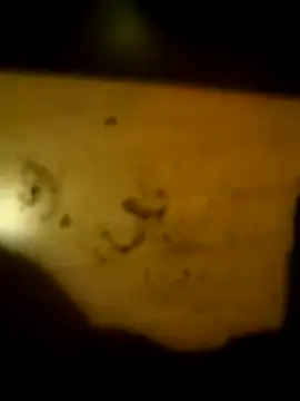 Preview of kaosmikey