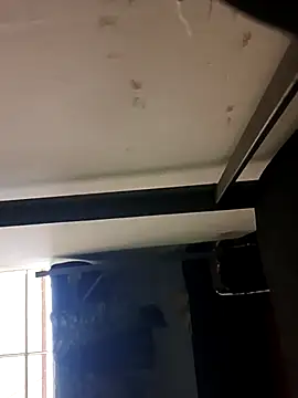 MonasticCanine webcam