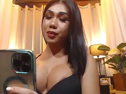 TRANSPORNIDOL webcam