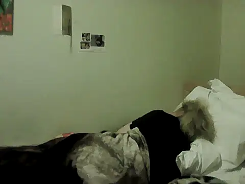 Latex_shantie webcam