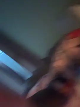 Pumpkin_bunny webcam