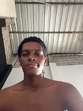 KingBlack25cm webcam