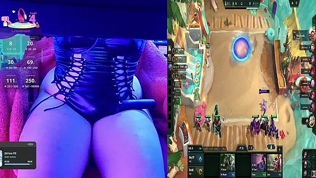 baileymonarch webcam