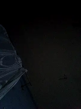 Jarektchurzewski webcam