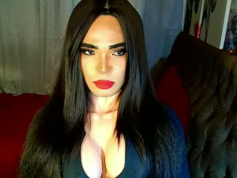 terra_HORSECOCK webcam