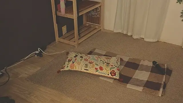 laracroftmansion webcam