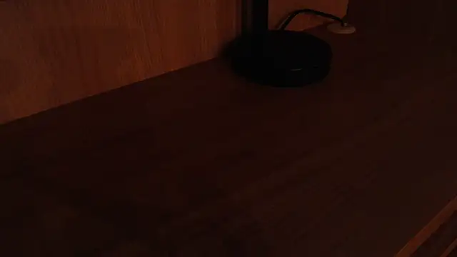 Thegreatonelady webcam