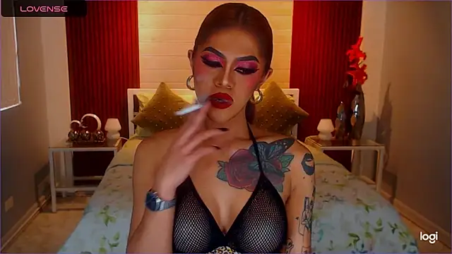 StellaStrong30 webcam