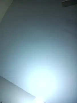 softecho-03 - Softecho-03's free webcam - UK Sex Cams