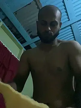 islandvybee55 webcam