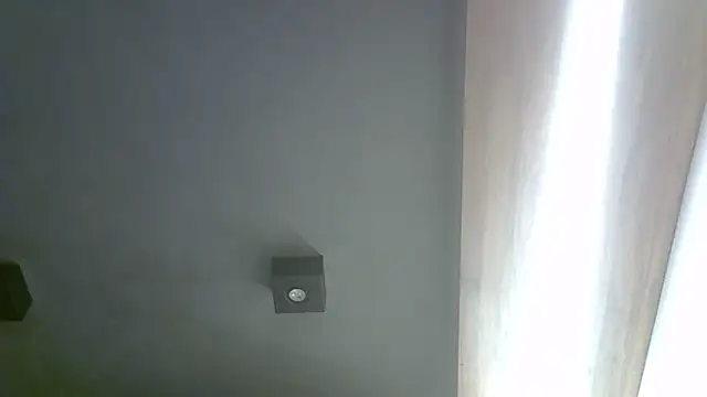 SkinnyKitten webcam
