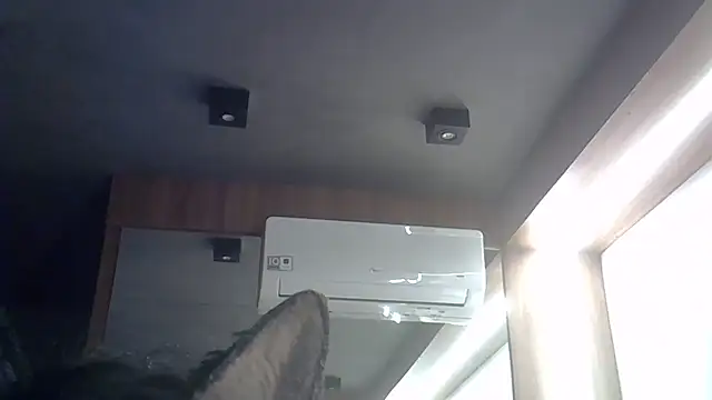 SkinnyKitten webcam