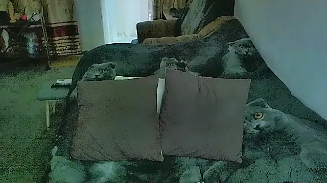 sex2 - Sex2's free webcam - UK Sex Cams