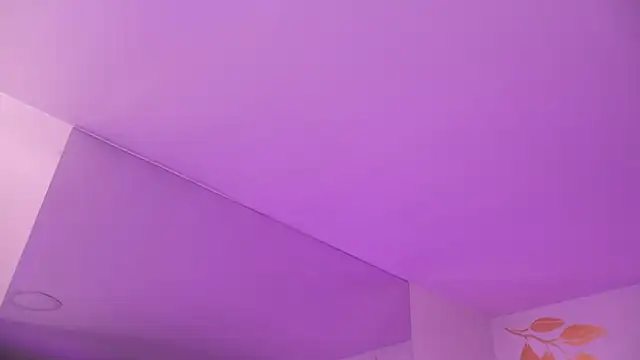 Misselektra__ webcam