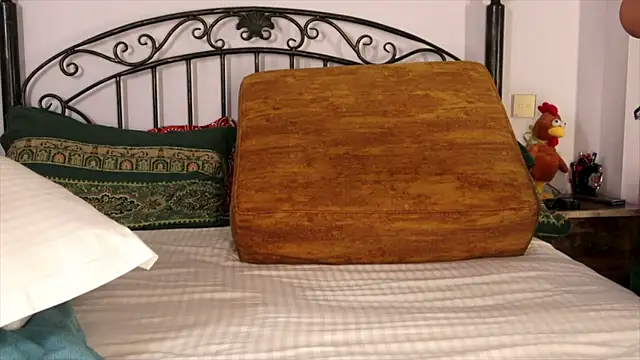 einneuesleben webcam