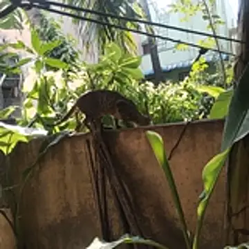 gaysexfun_123 webcam