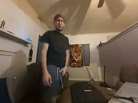 ThrowedWorldWide webcam