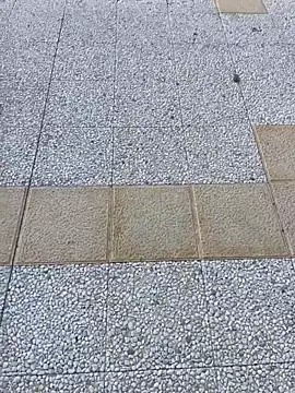 stallone_italiano_62 webcam