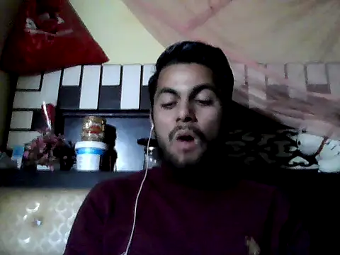 Stubborndesiboy webcam