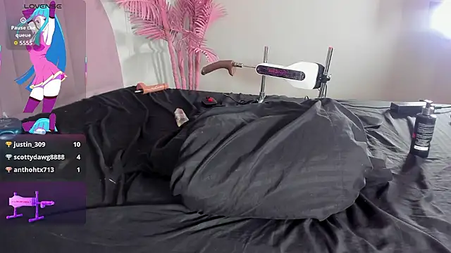 Tamaramilleer webcam