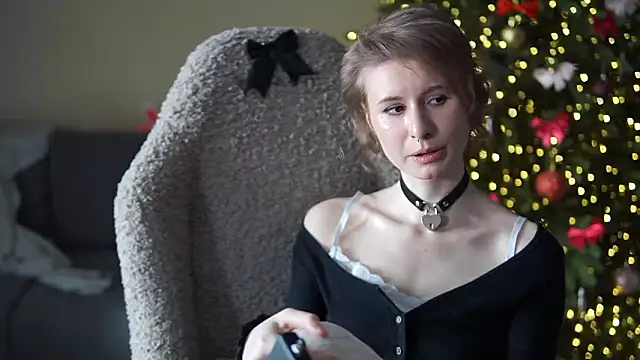 SilverStarIet webcam