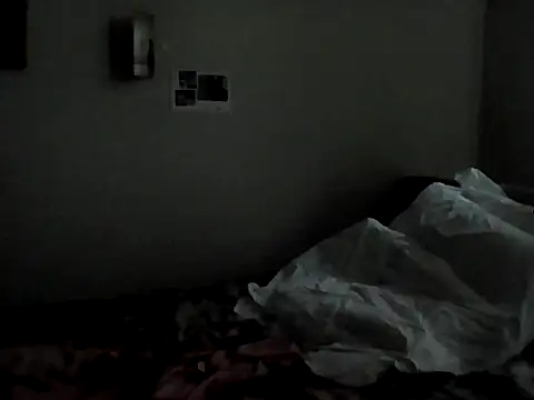 Latex_shantie webcam