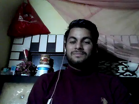 Stubborndesiboy webcam