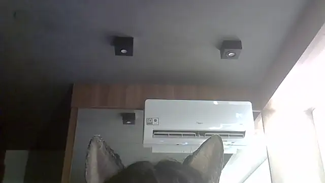 SkinnyKitten webcam