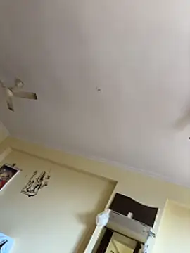 indianshycouple webcam