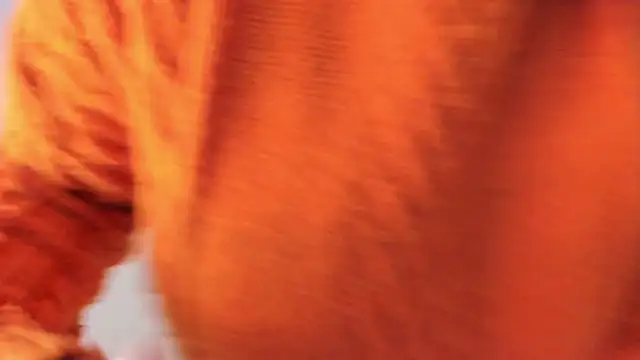 iriss_25 (F young) - 💕💕fingers  my ass💕💕