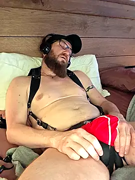 Icebearsticlese webcam