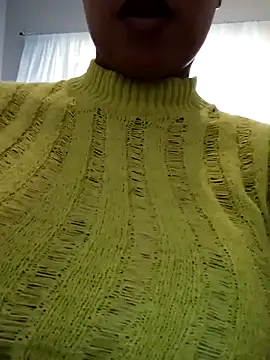 NewBeginnings8 webcam