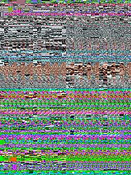 NaytonFreeman webcam