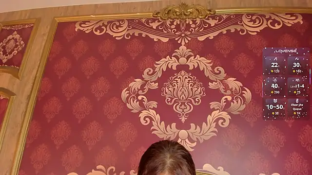 Helenstanford webcam