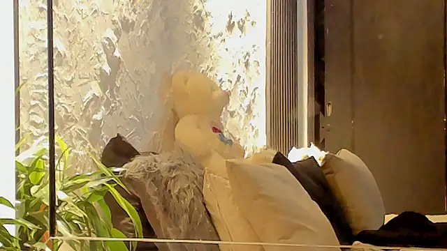 joselin_rouse webcam