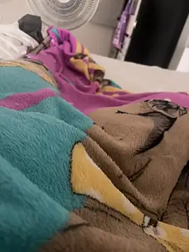 Colibri_Centaura webcam