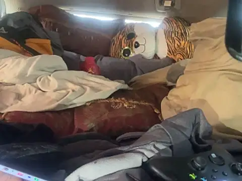 SlimeCrownzOut5 webcam