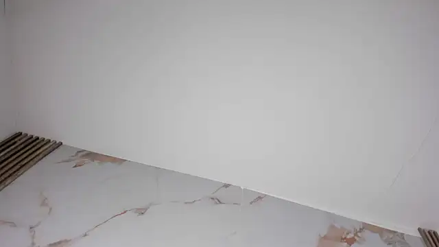 Paris_Colemann webcam