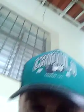 Preview of peludo173317