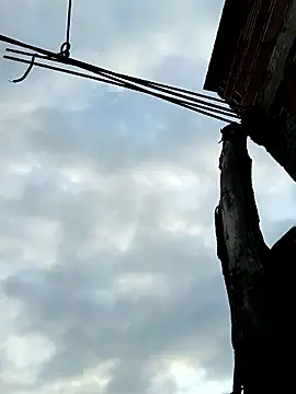 Webcam Model (young_dairy01) is live