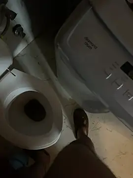 rajasthanichora1310 (M young) - cum show