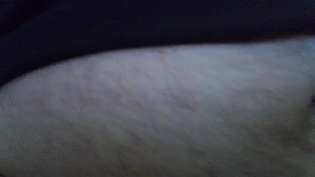 mariomario0565 (M grandpa) - #anal #anal-toys #balds #big #bisexuals #blowjob #cheap-privates #german #grandpas #rimming #small-audience #small-cock #white