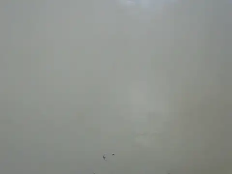 Rasta_tattooed webcam