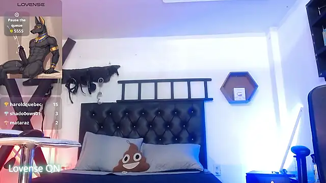 subarashi_ishi69 webcam